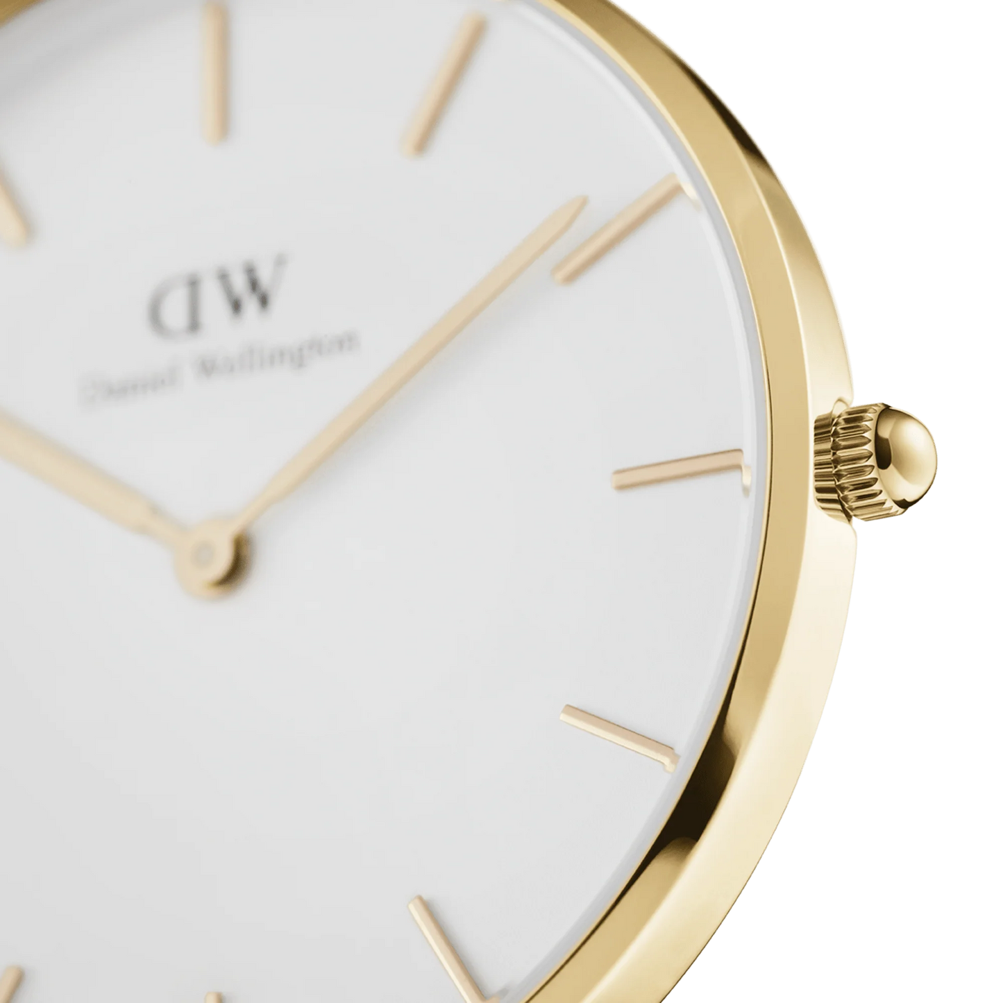 Petite Evergold Daniel Wellington Damenuhr