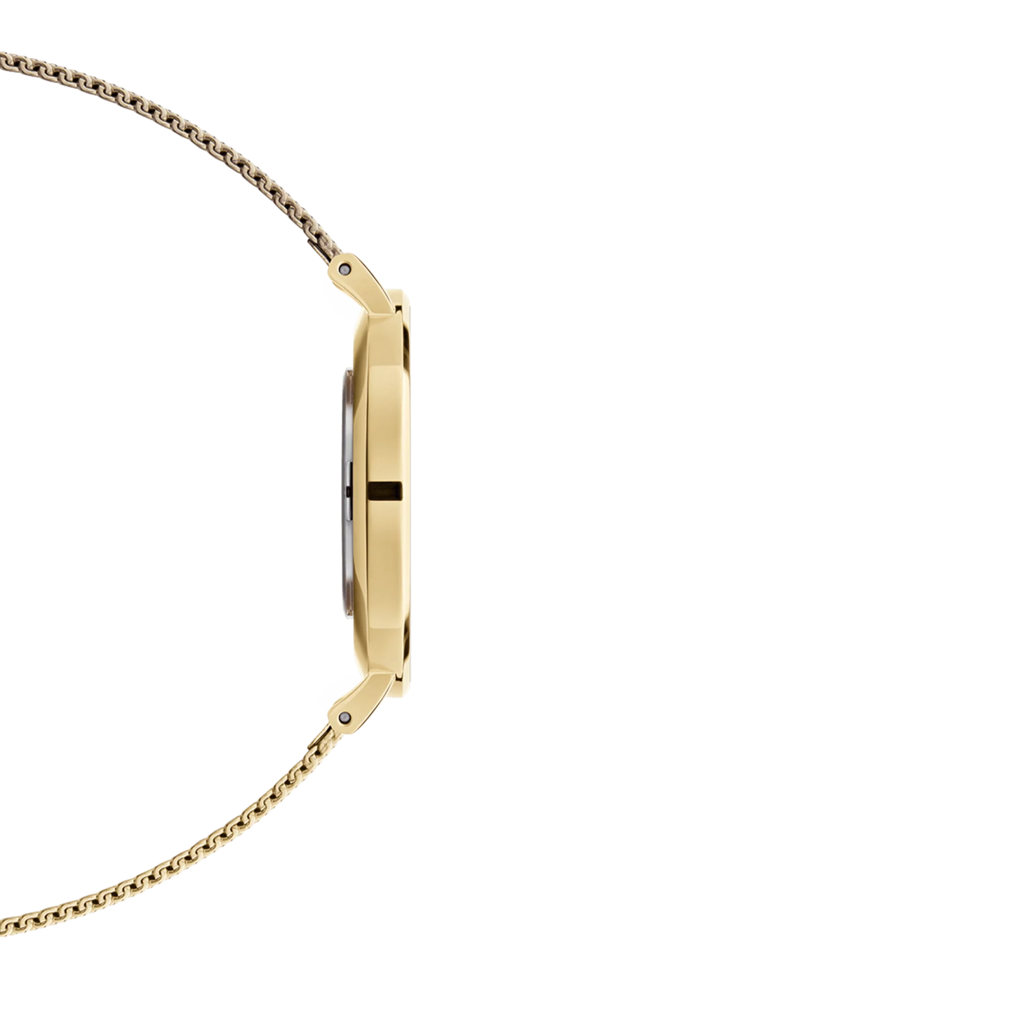 Petite Evergold Daniel Wellington Damenuhr